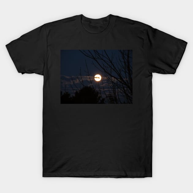 Full Moon T-Shirt by ARTWORKandBEYOND